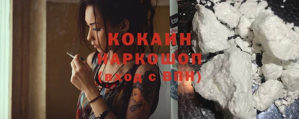 PSILOCYBIN Ельня