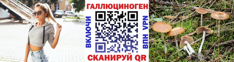 Галлюциногенные грибы прущие грибы  Пыть-Ях 
